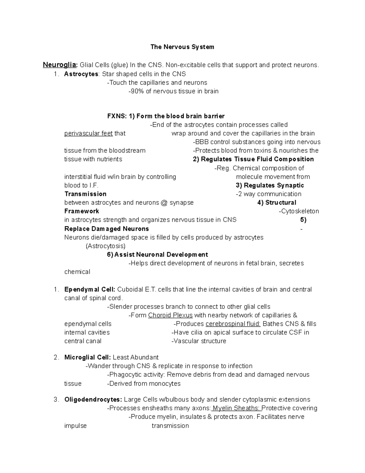 Nervous System Study Guide for BIO 101: Key Concepts and Functions ...