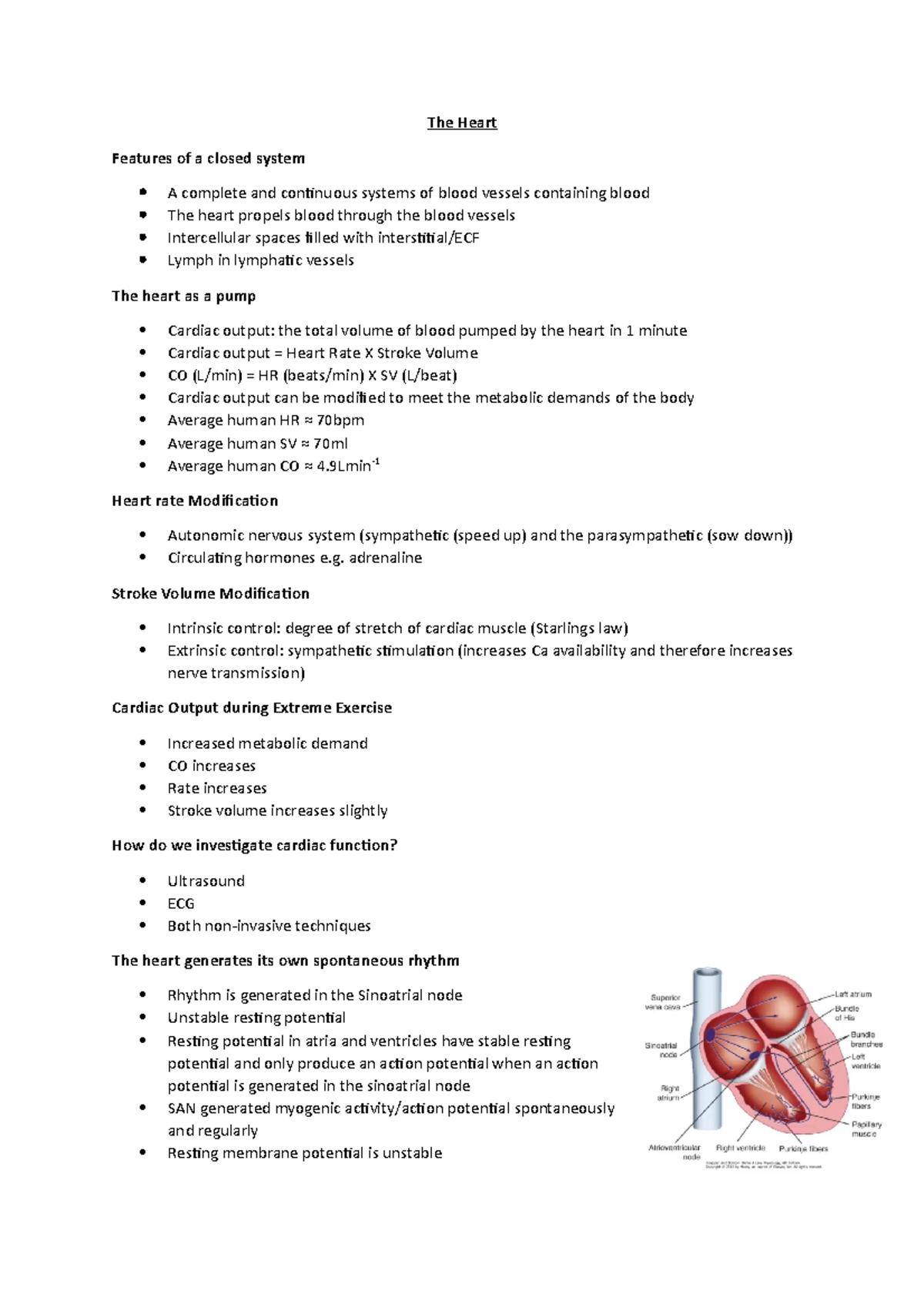 Heart - Lecture Notes 1: Understanding Cardiac Function and Anatomy ...