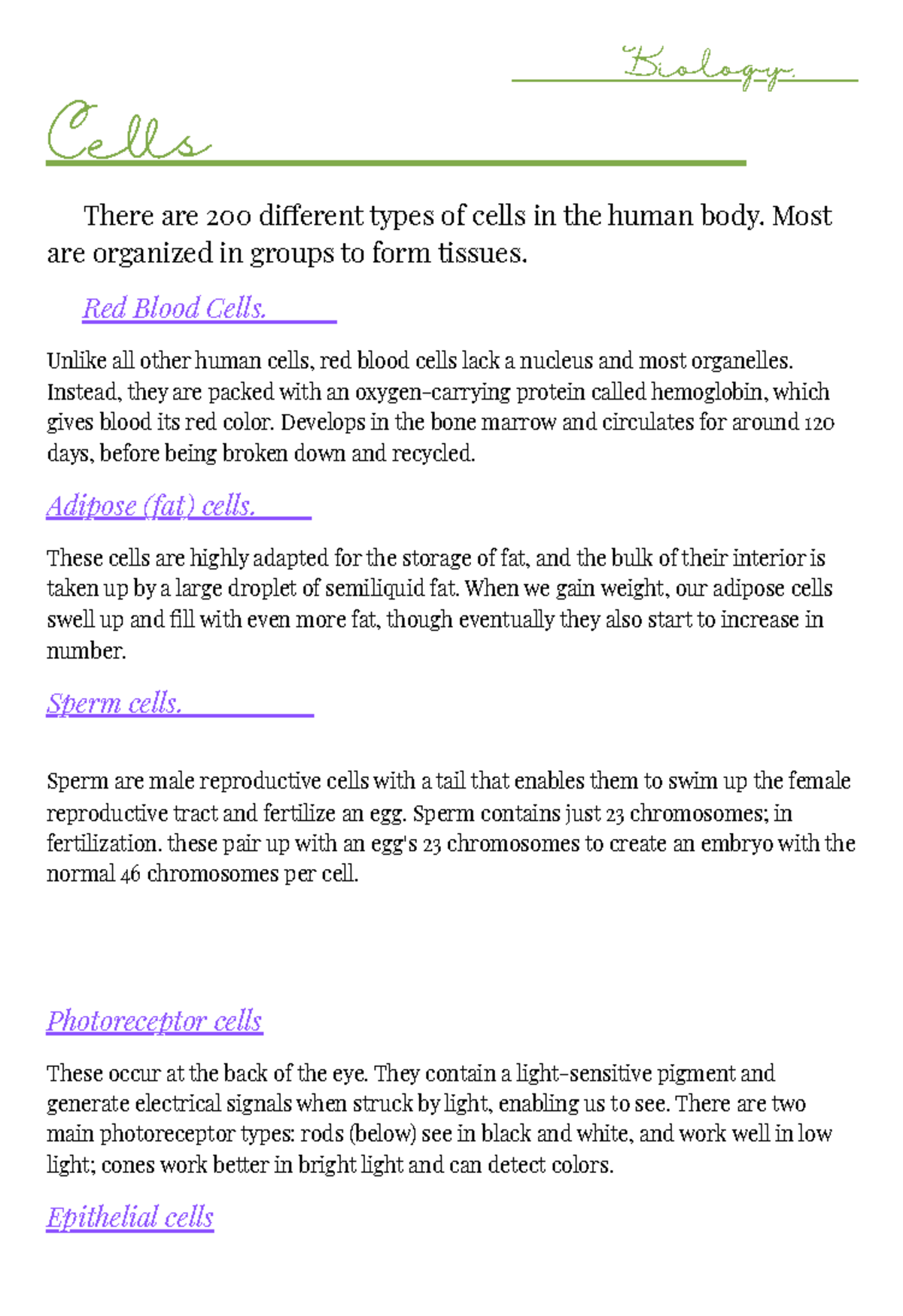 Eubacteria and Archaebacteria: Characteristics and Roles in Life - Studocu