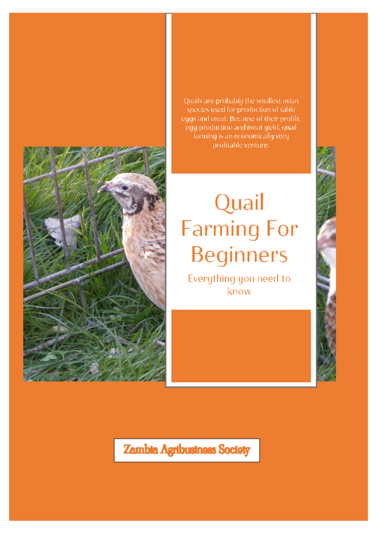 Quail Farming for Beginners: A Comprehensive Guide (Course Code: ZAS ...
