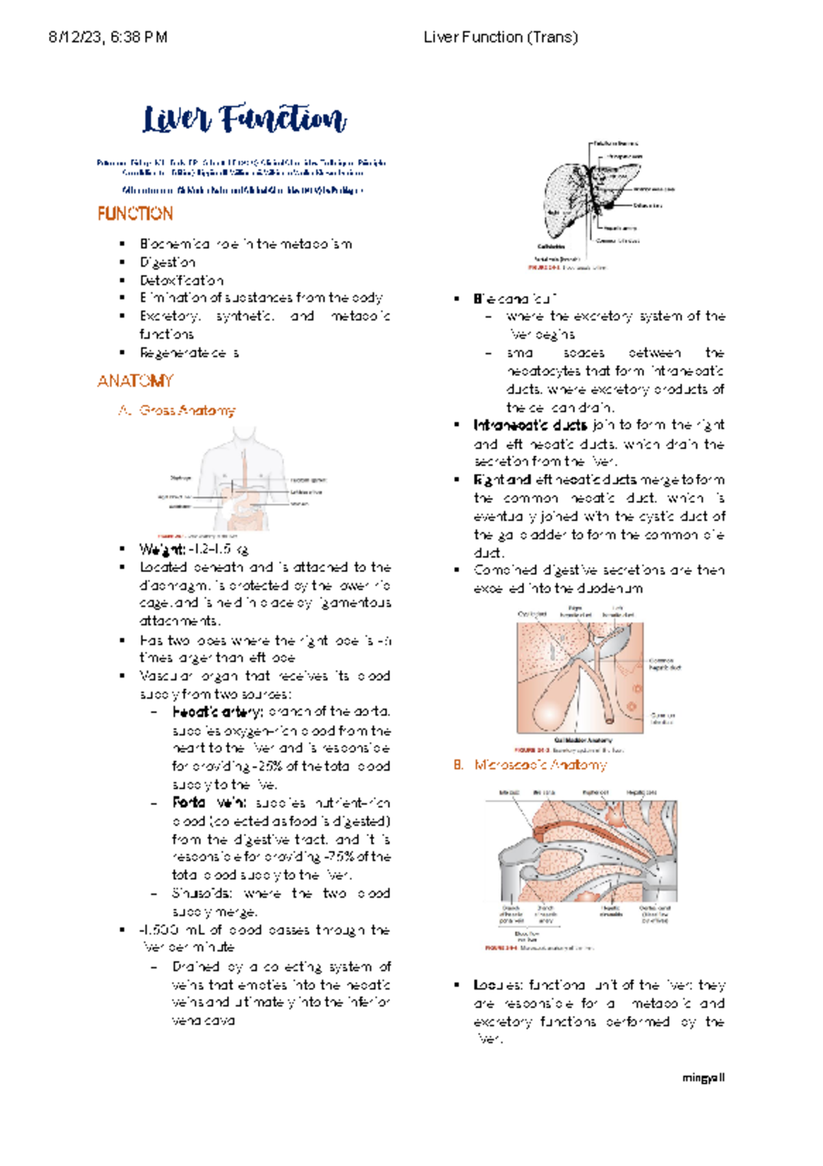 Liver Function: Detailed Overview of Anatomy and Biochemical Roles ...