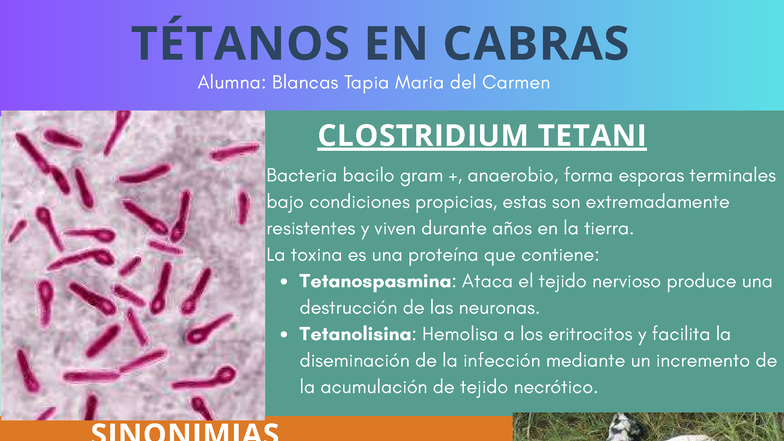 Tétanos en Cabras: Diagnóstico, Prevención y Tratamiento - Studocu