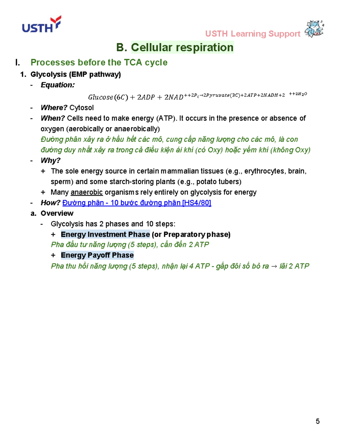 USTH Biochemistry Lecture Notes: Cellular Respiration & Pathways - Studocu