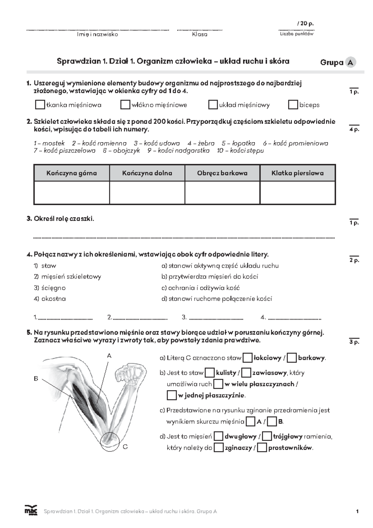 Sprawdzian Z Biologi Klasa 7 Skóra www.studocu.com