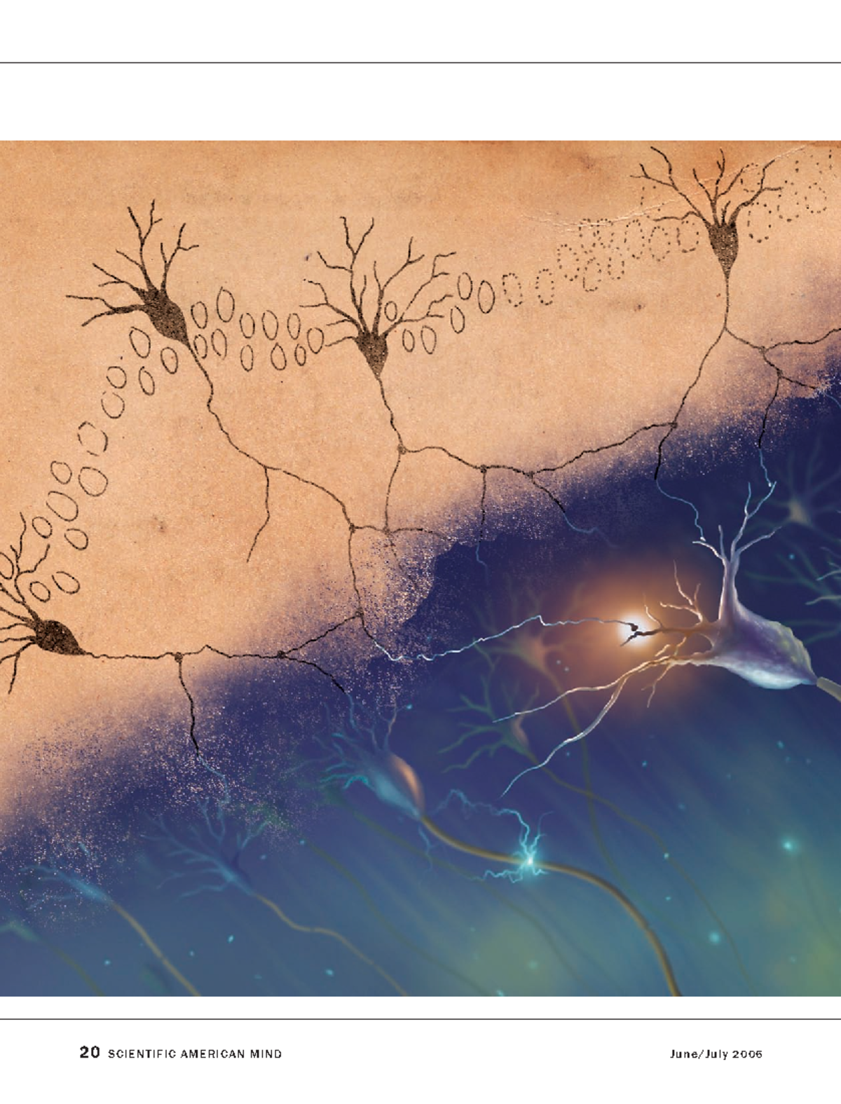 Beyond the neuron doctrine - 20 S C I E N T I F I C A M E R I C A N M I ...