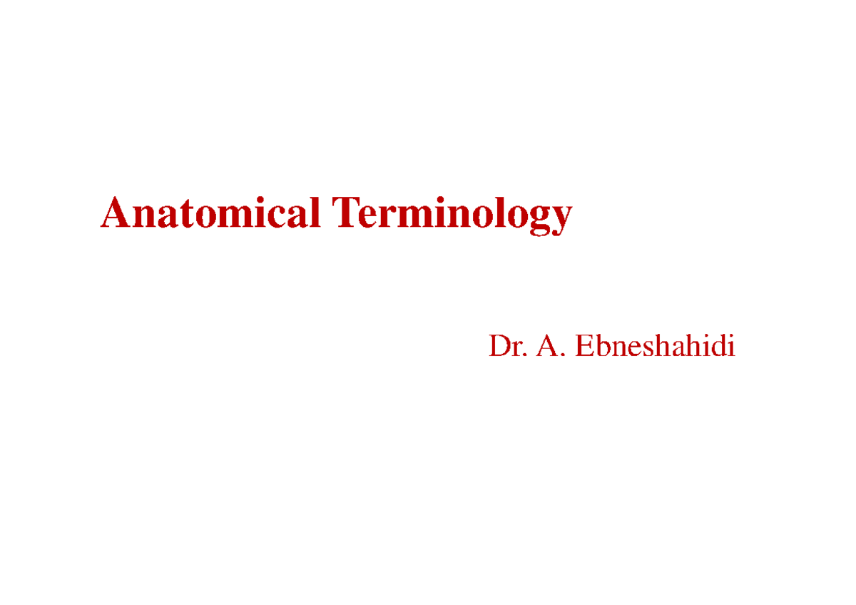 Anatomical Terminology Overview: Key Concepts and Definitions - Studocu