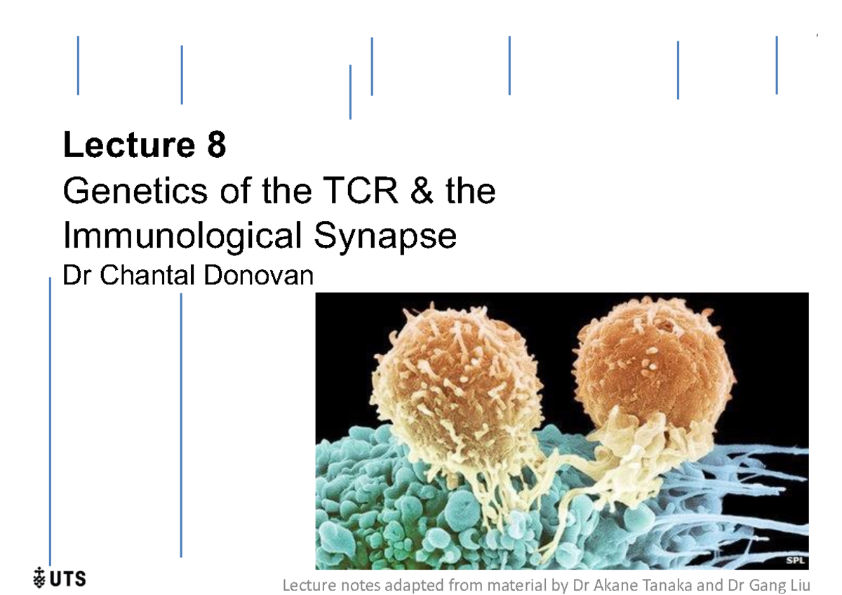 91401 - Lecture 8 T cell receptor 2022 - 1 Lecture 8 Genetics of the ...