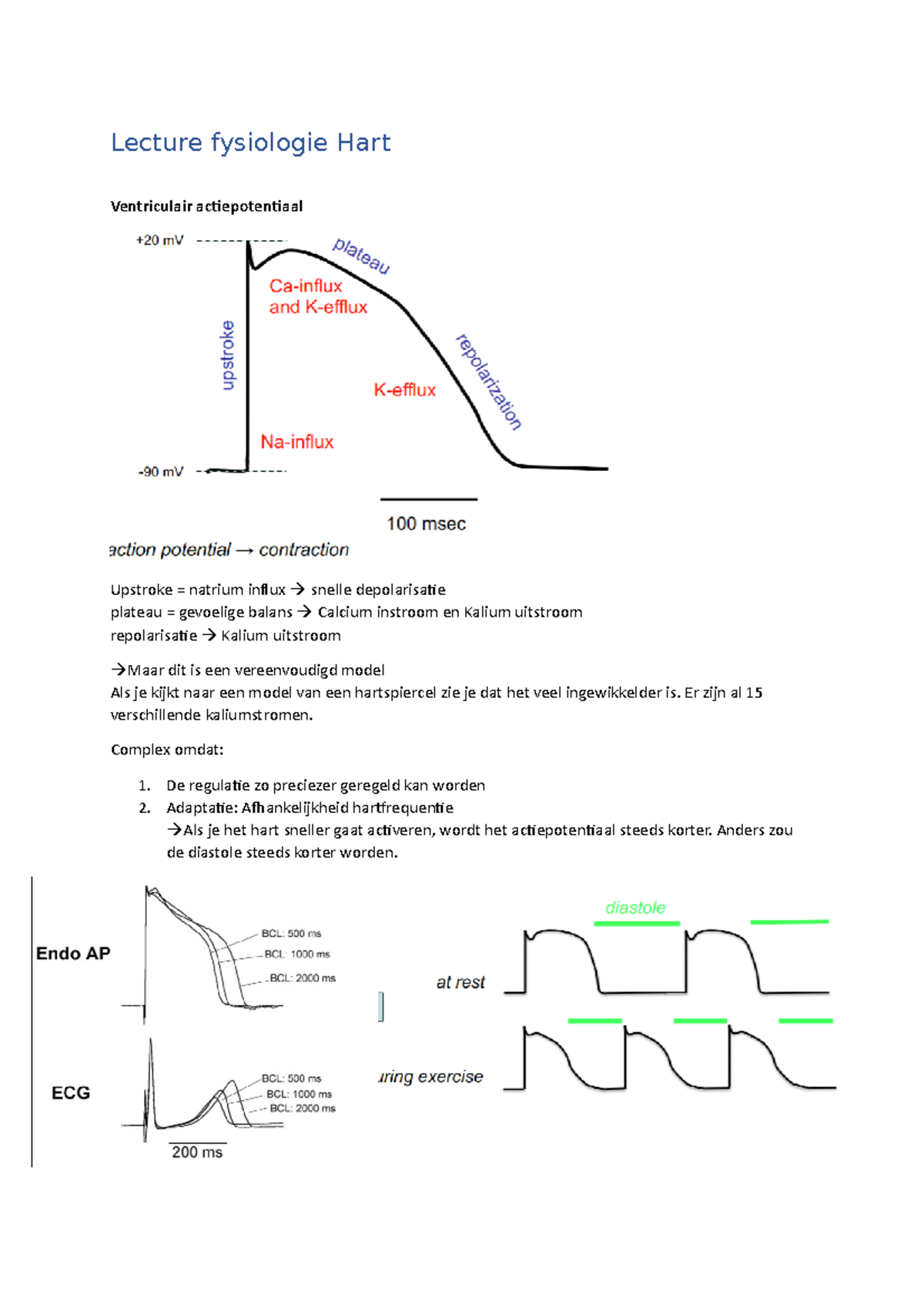 Lecture Fysiologie Hart: Actiepotentiaal, ECG, en Hartfunctie - Studeersnel