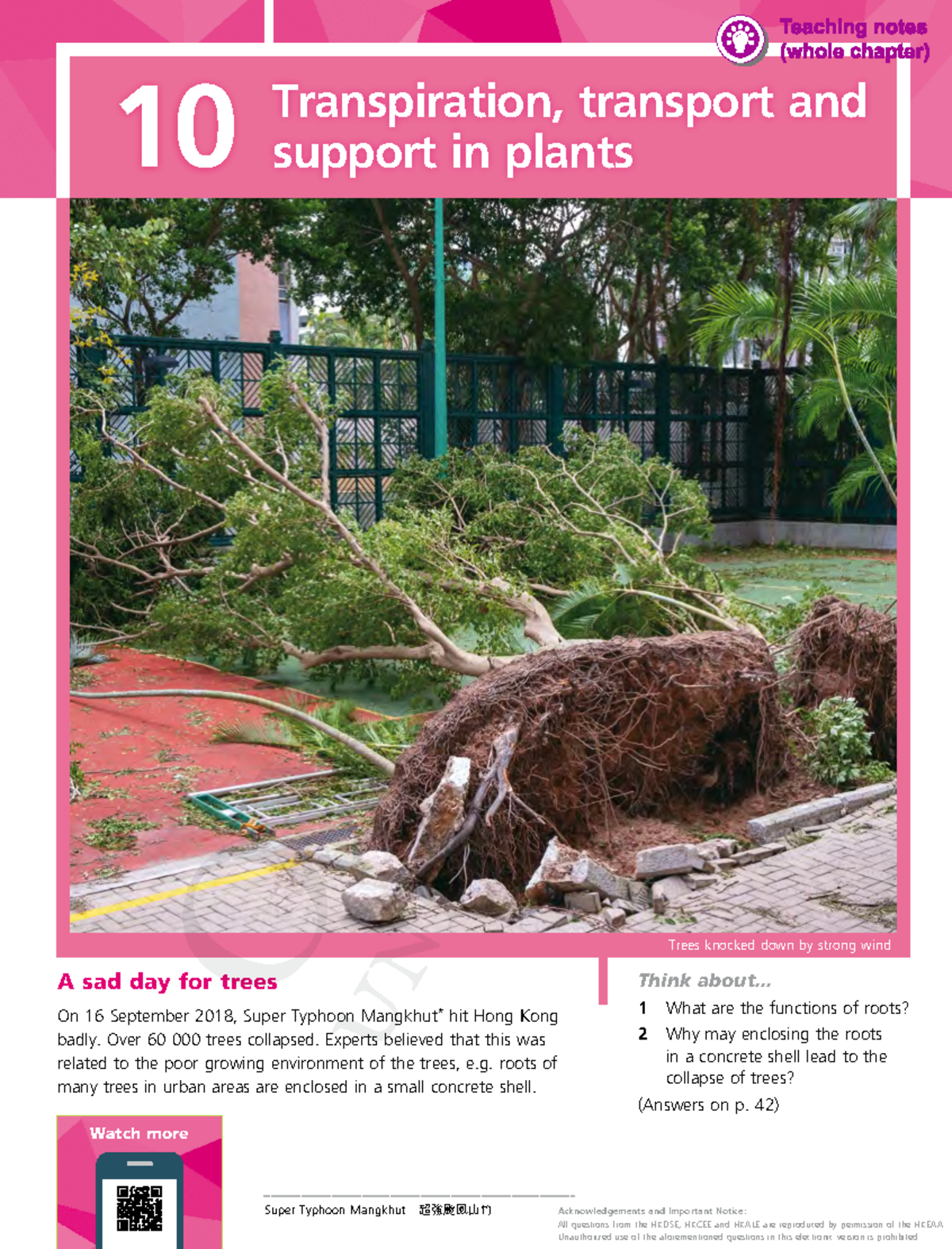 Nssbio 3E SB1B Ch10 e - textbook - Trees knocked down by strong wind ...