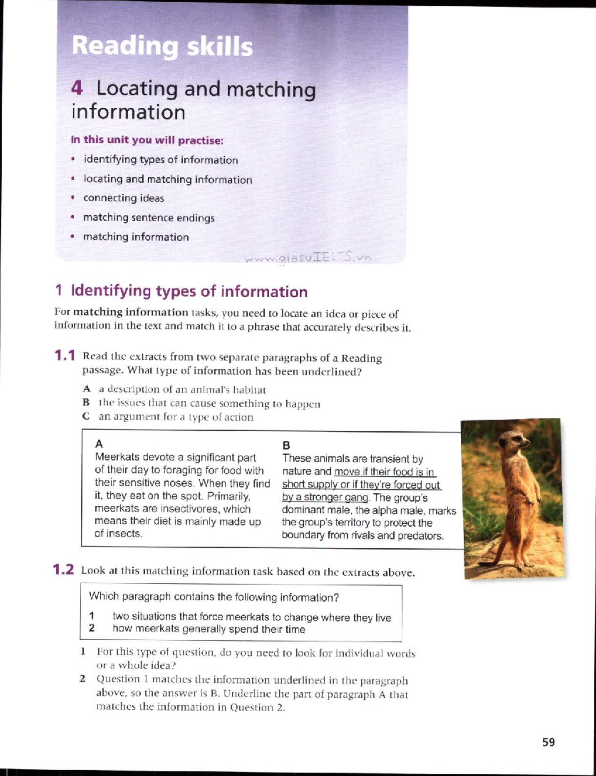 Reading Skills 4: Locating & Matching Info - English for Beginners ...
