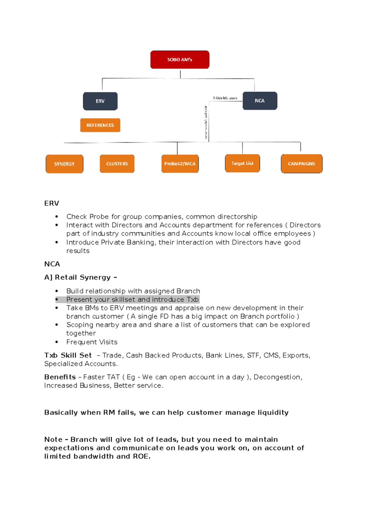 NCA White Paper - ERV Check Probe for group companies, common ...