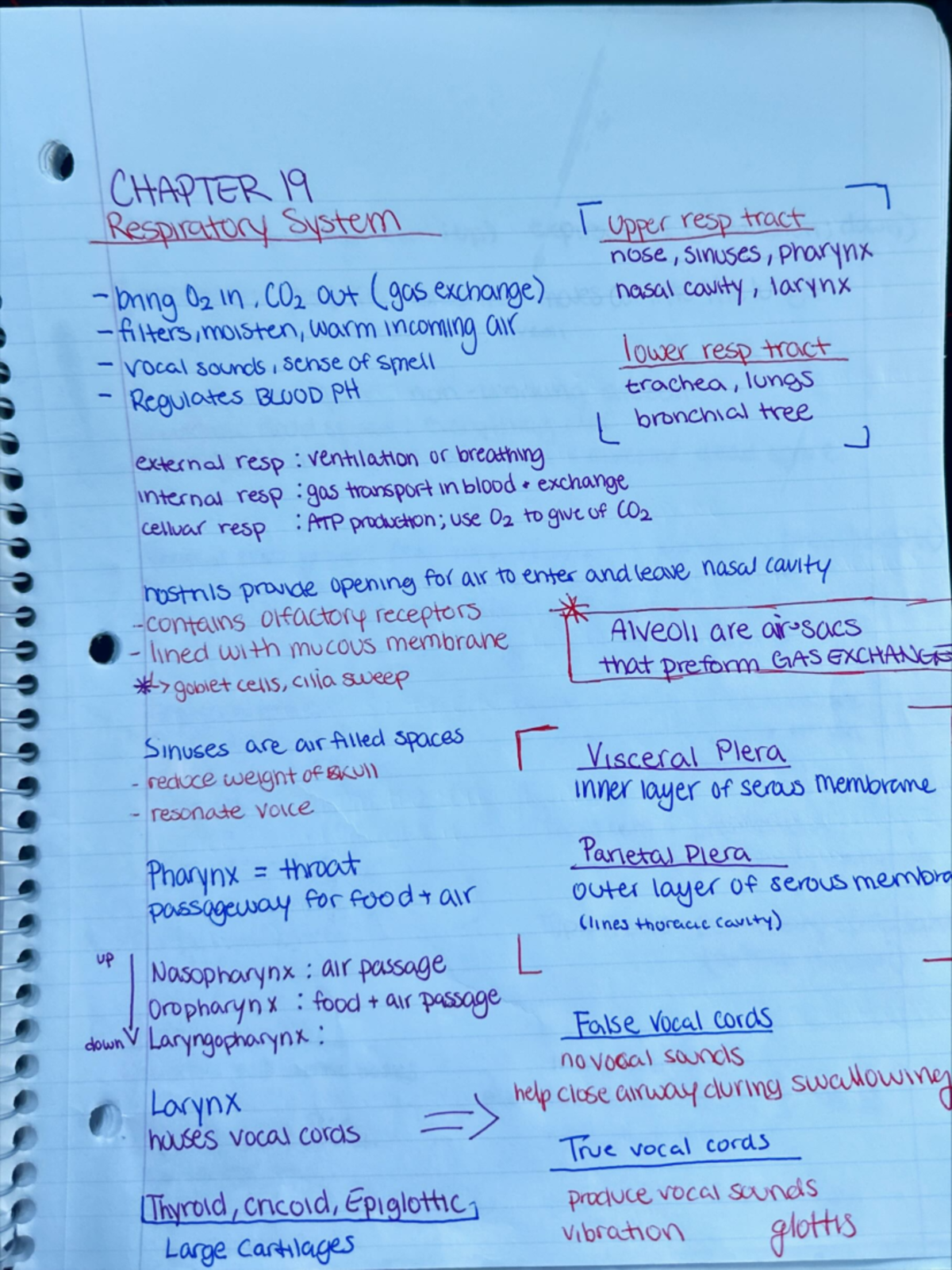 Final Exam Study Guide for Psychology 101: Key Concepts & Topics ...