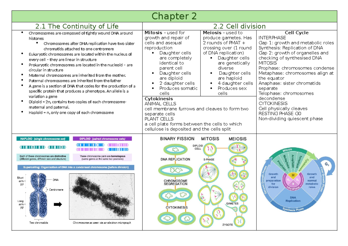 Bio Table Notes Unit 3: Genetics, Cell Division, and Biotechnology ...