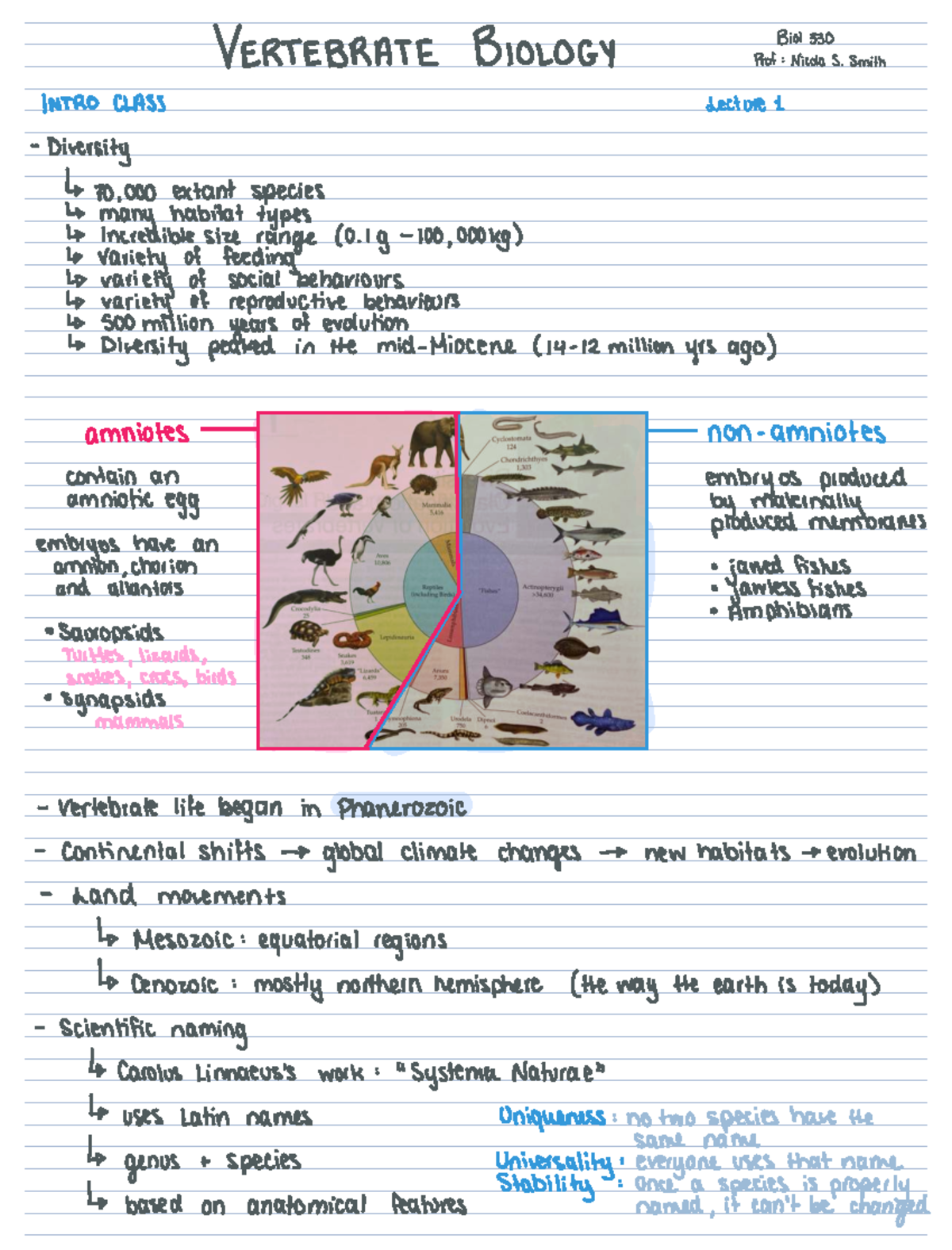 Vertebrate Biology Intro (BIOL 101) Lecture Notes: Diversity ...