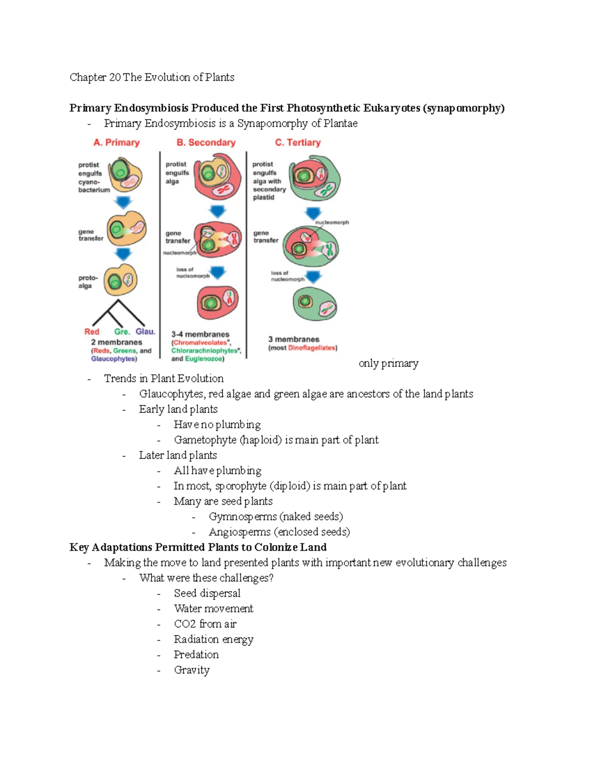 Bio study guide exam 2 - Summary General Biology II - Bio study guide ...