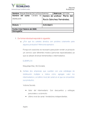 Actividad 3 Canales DE Distribucion - Profesional Nombre del curso ...