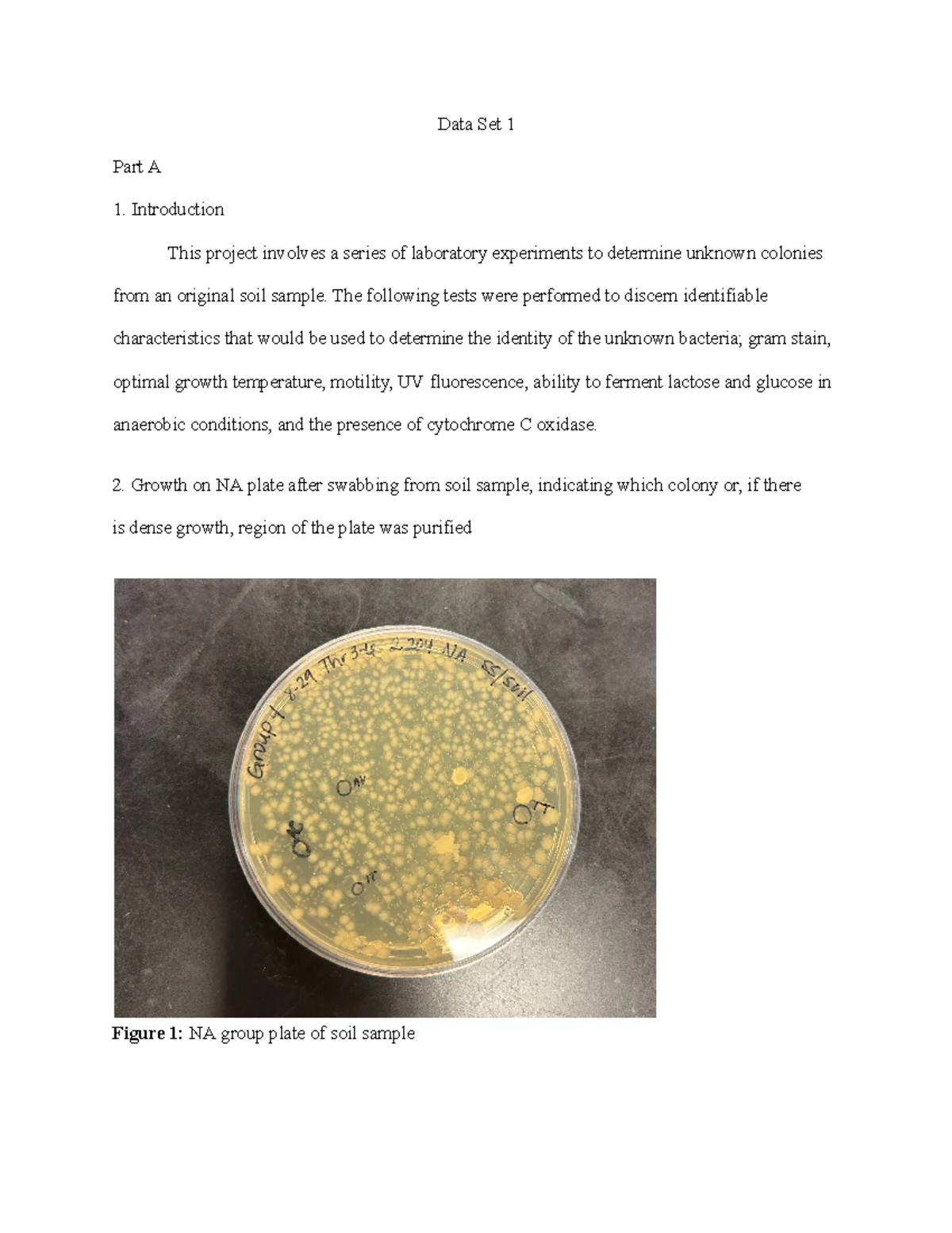 Microlab Data Set 1 - Lab Report on Bacterial Identification Procedures ...