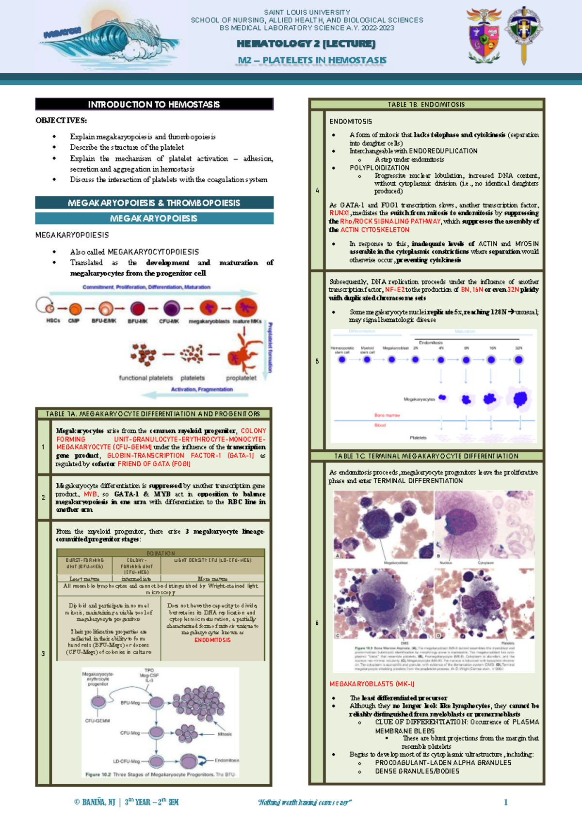HEMA 2 (LEC) M2: Platelets in Hemostasis - Hematology Lecture Notes ...