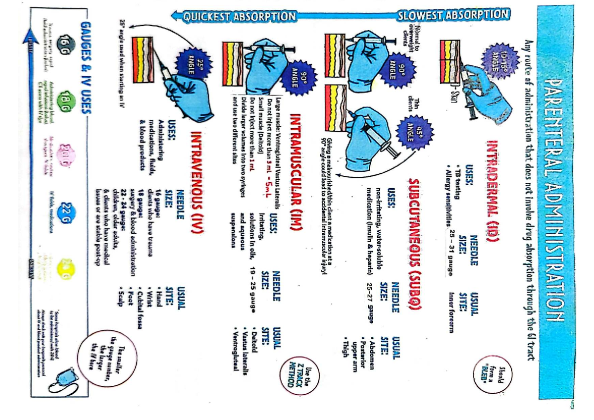 Parenteral Administration Techniques: Needle Sizes & Injection Sites ...