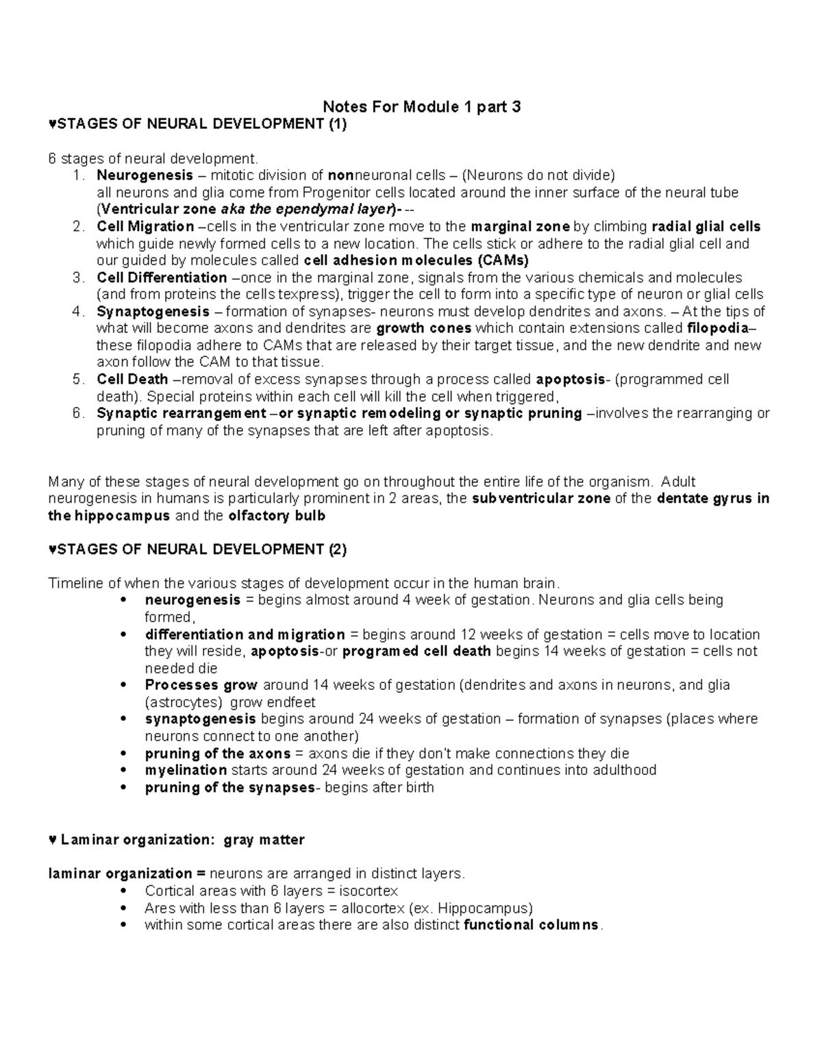 Neural Development Overview: Module 1 Part 3 Notes - Studocu