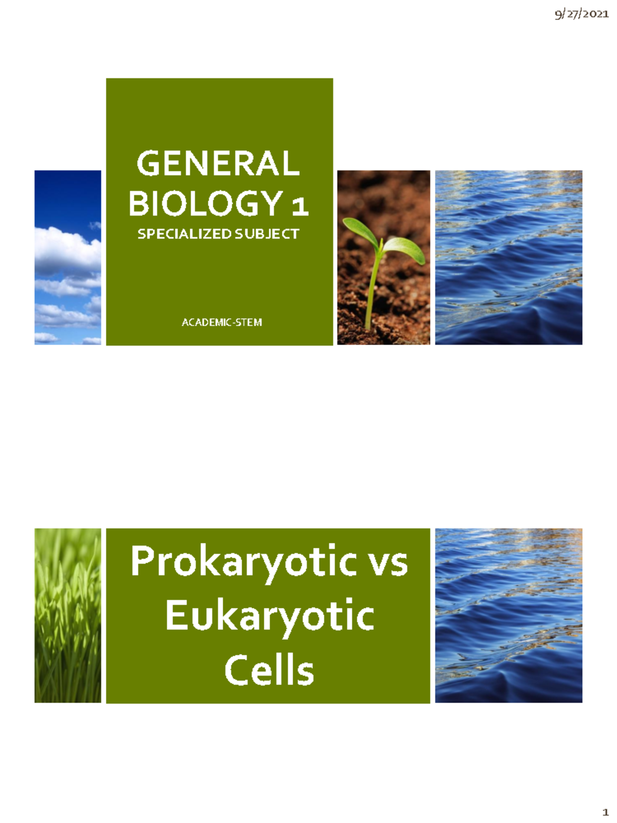 Lesson 3: Prokaryotic vs Eukaryotic Cells in Gen Biology 1 (STEM_BIO11 ...