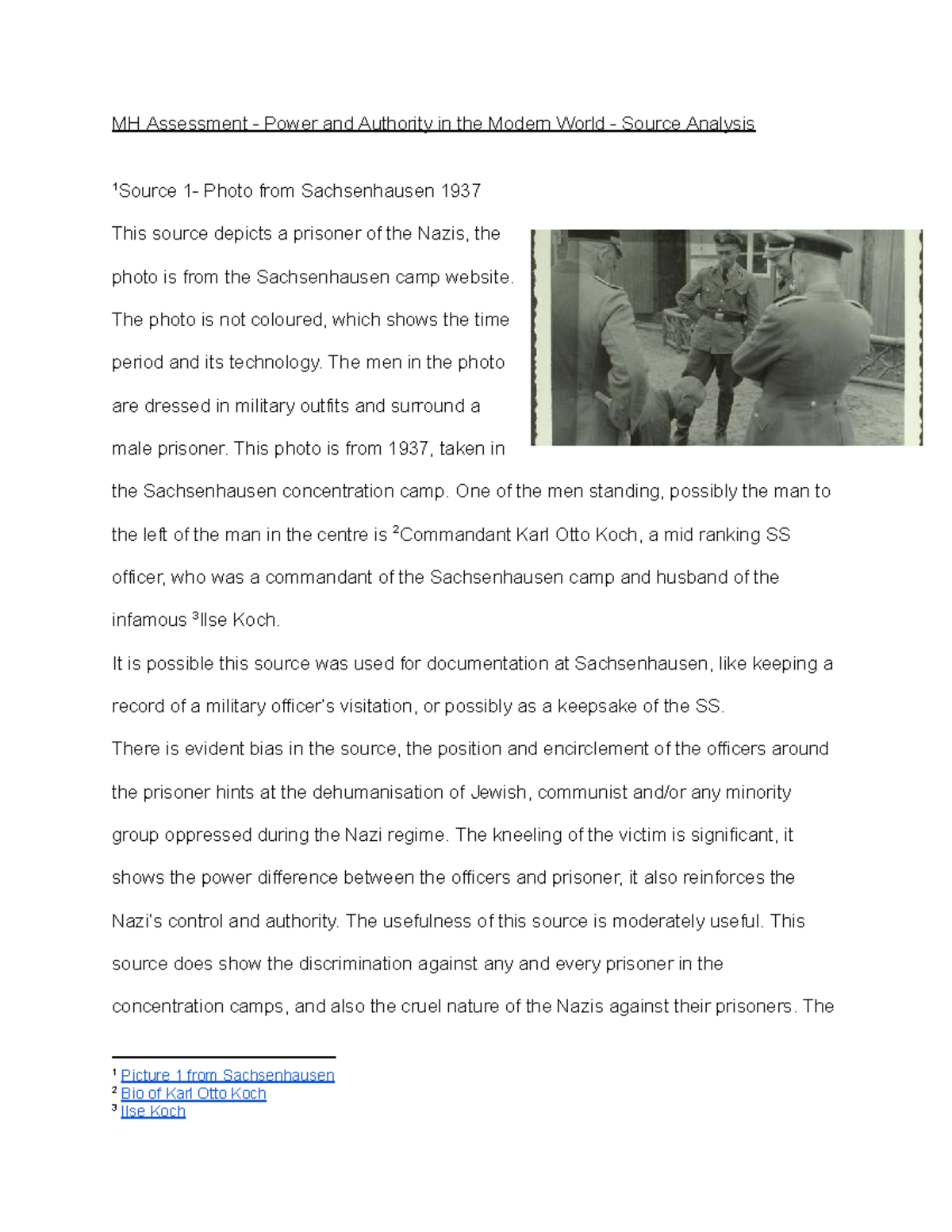 MH Assessment: Power & Authority in Nazi Germany - Source Analysis ...