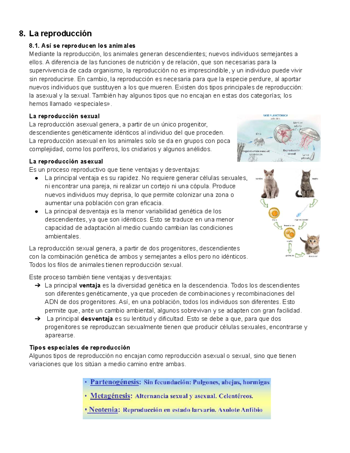 La reproducción de los animales: Tipos y procesos fundamentales - Studocu