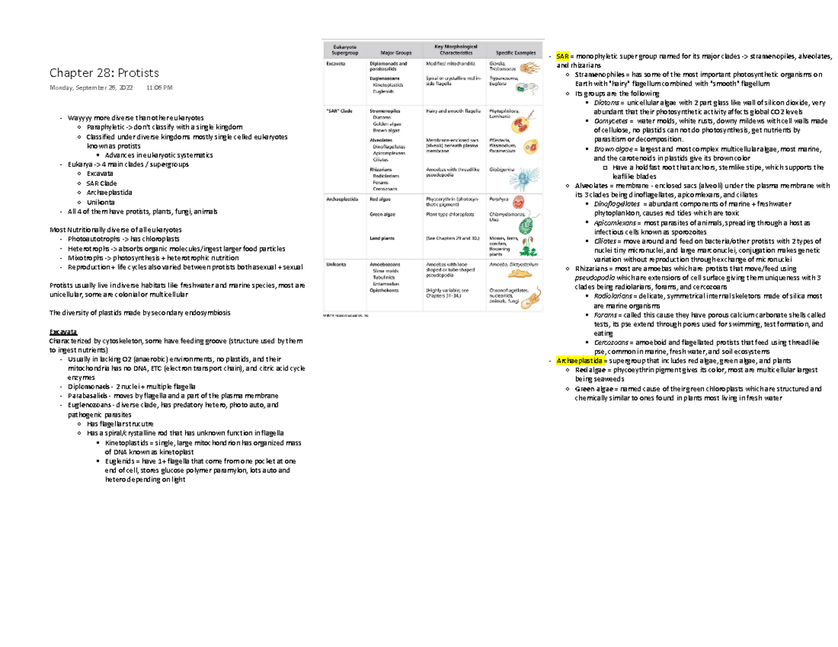 Student Exploration Convection Cells Gizmo Answer Key