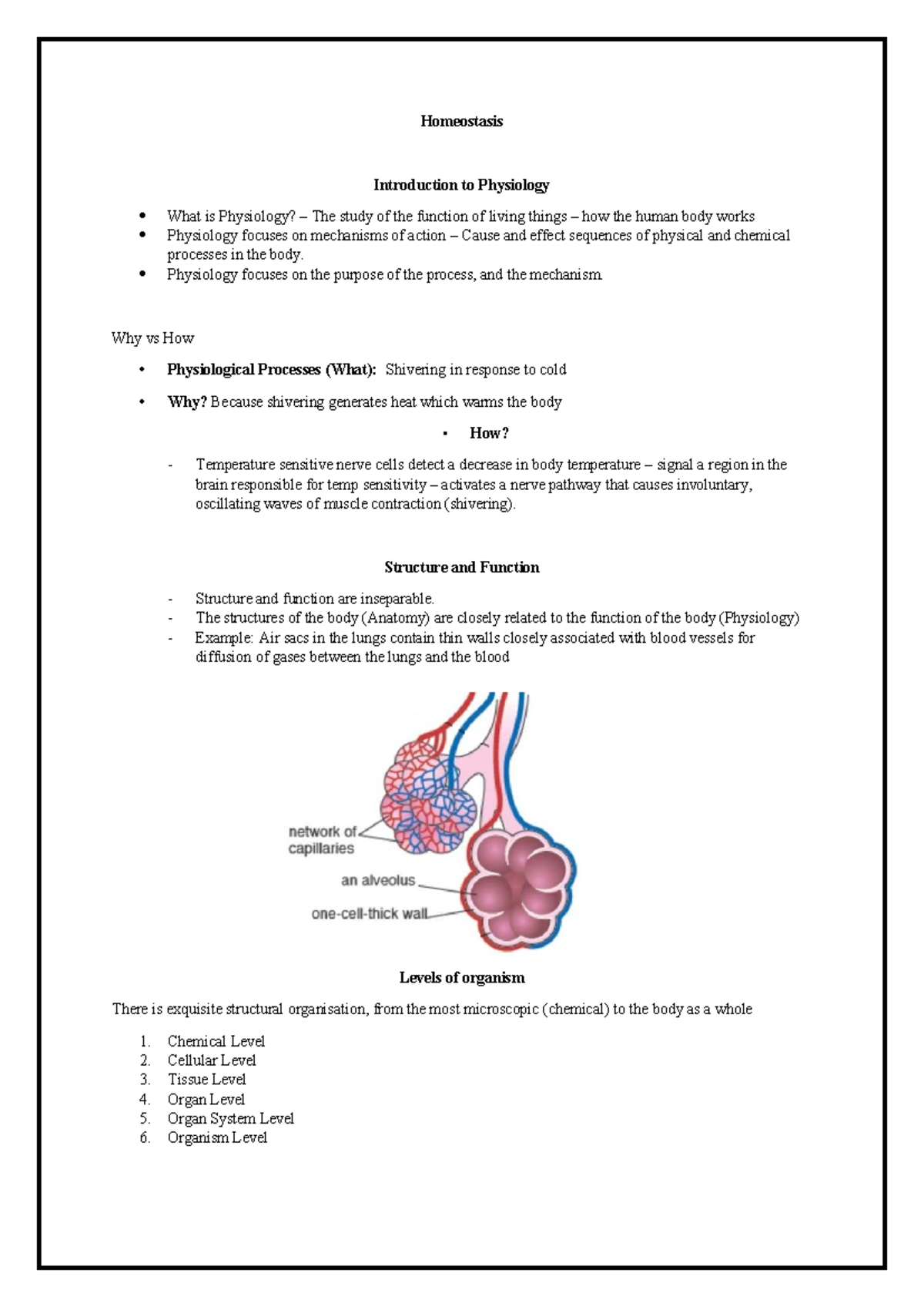 Homeostasis: An Introduction to Physiology and Body Function Mechanisms ...