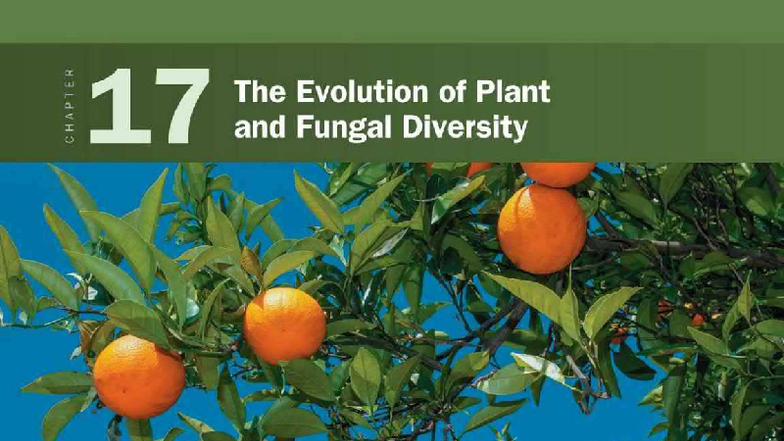 Plant Evolution and Diversity (BIO 101): Adaptations and Life Cycles ...
