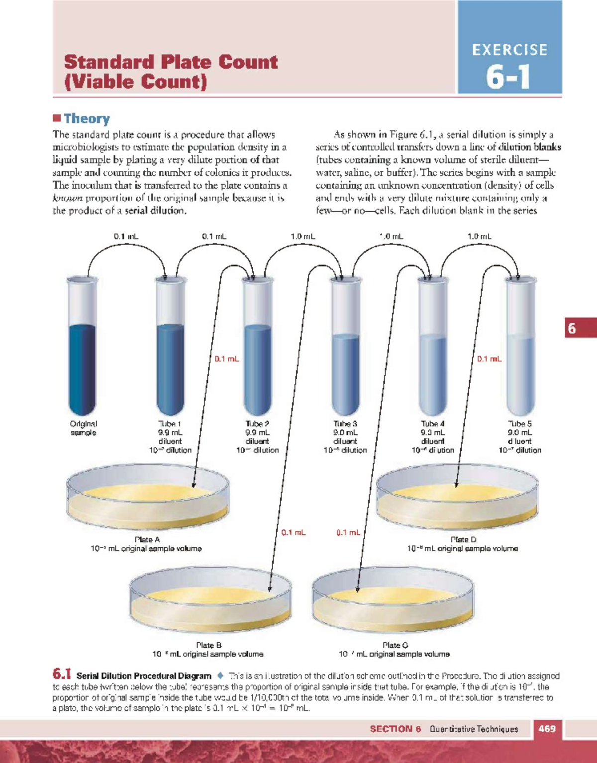 Textbook notes - Standard Plate Count (Viable Count) Theory The ...