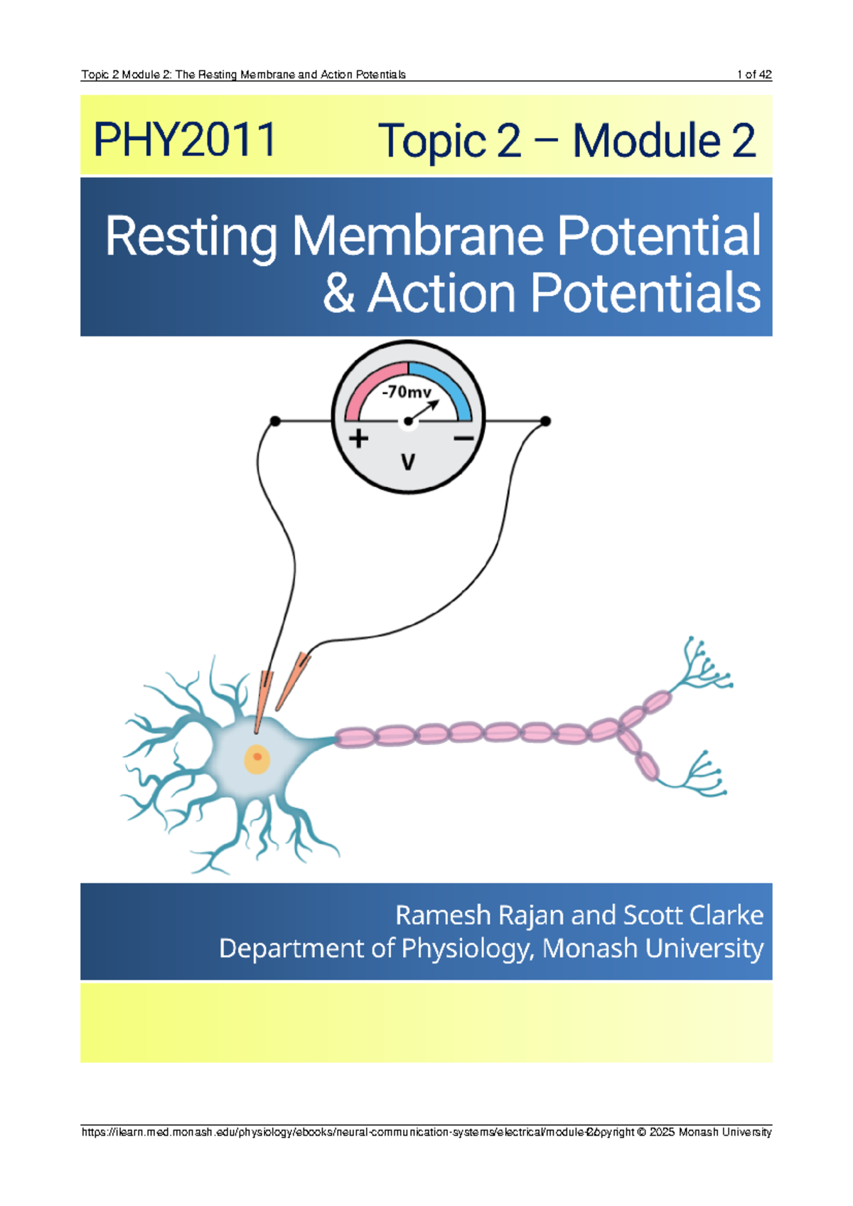 Module 2, Topic 2: Resting Membrane and Action Potentials Notes - Studocu