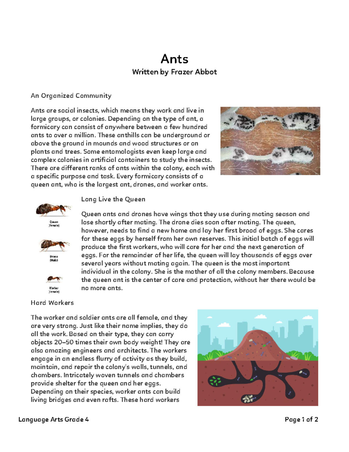 ELA G4 Module 8: Understanding Ants and Their Communities - Studocu