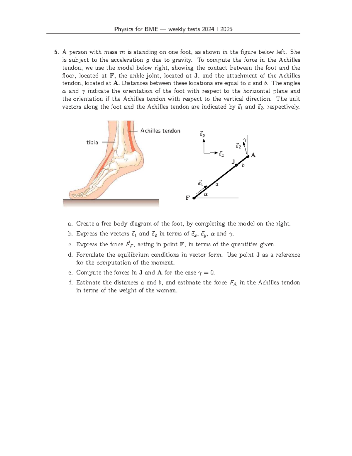 8BA030 Physics for BME Weekly Test 5 - Achilles Tendon Analysis ...