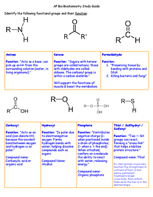 Advanced Placement Biology Unit+7+Evolution+Practice+Test+2022 - Name ...