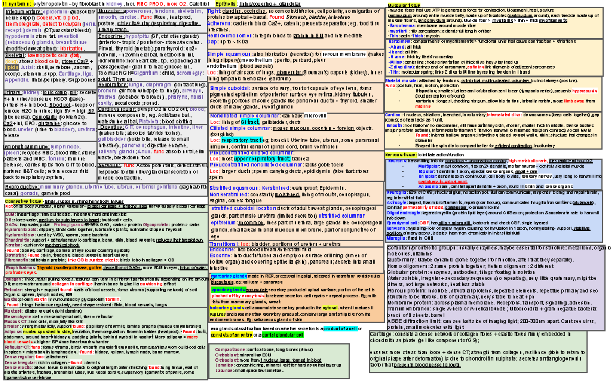 A4 summary sheet BIOSCI 107 for Mid Term Test - Pseudostratified ...