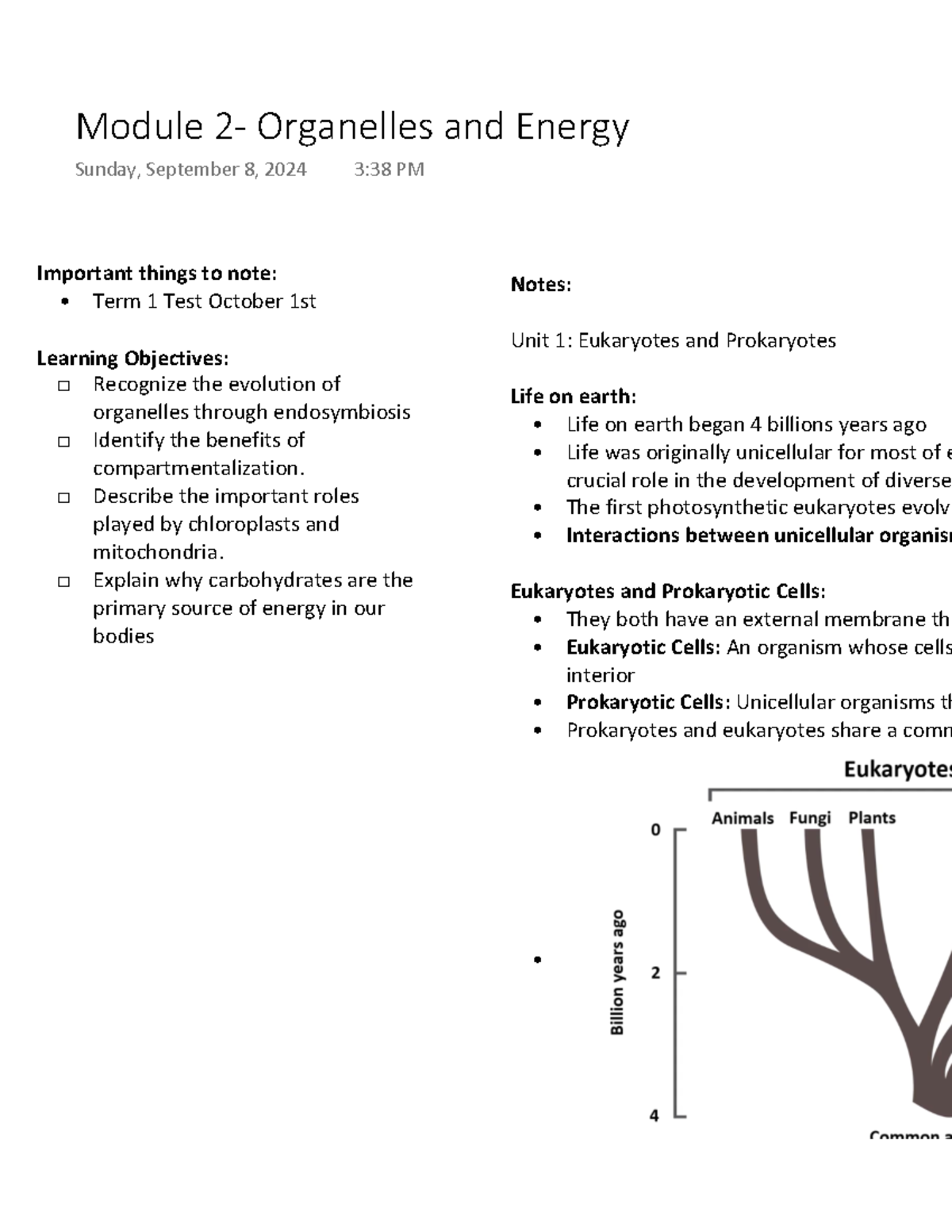 Module 2- Organelles and Energy - Important things to note: Term 1 Test ...