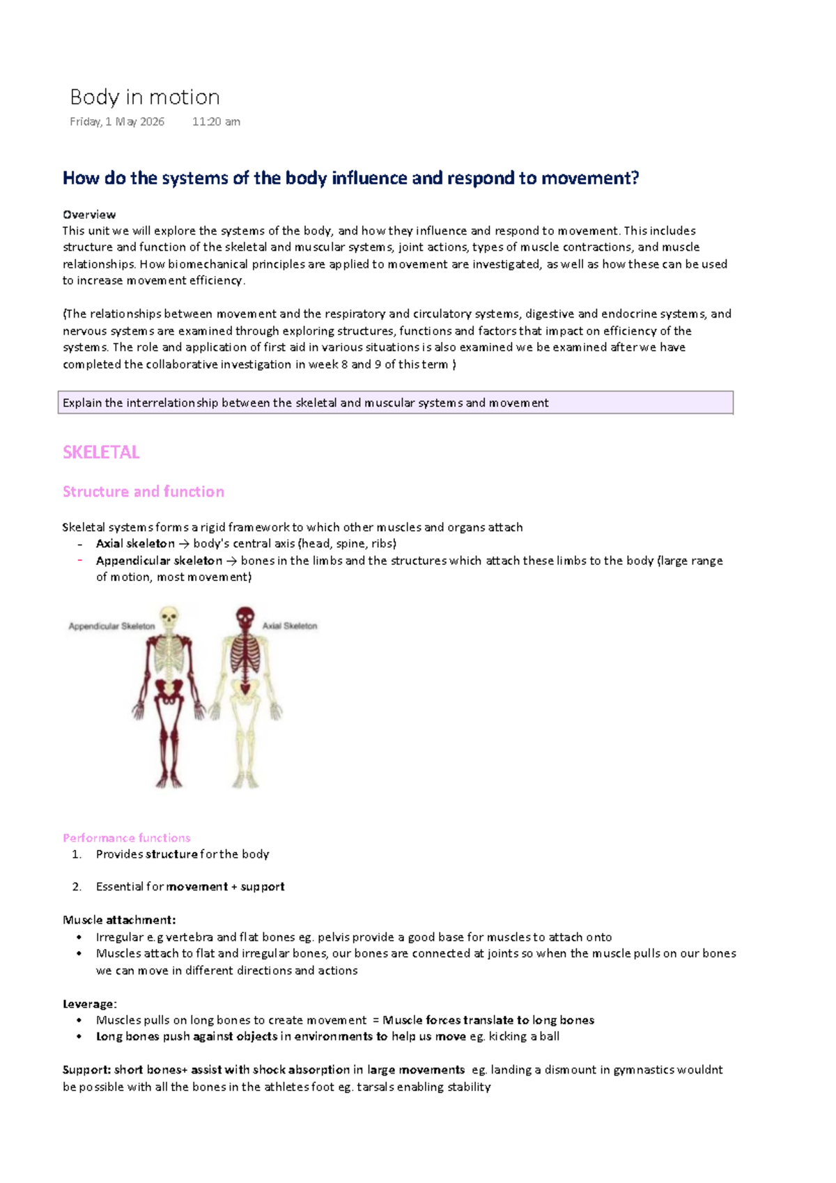 Body in Motion: Exploring Biomechanics and Movement Systems (SKELETAL ...