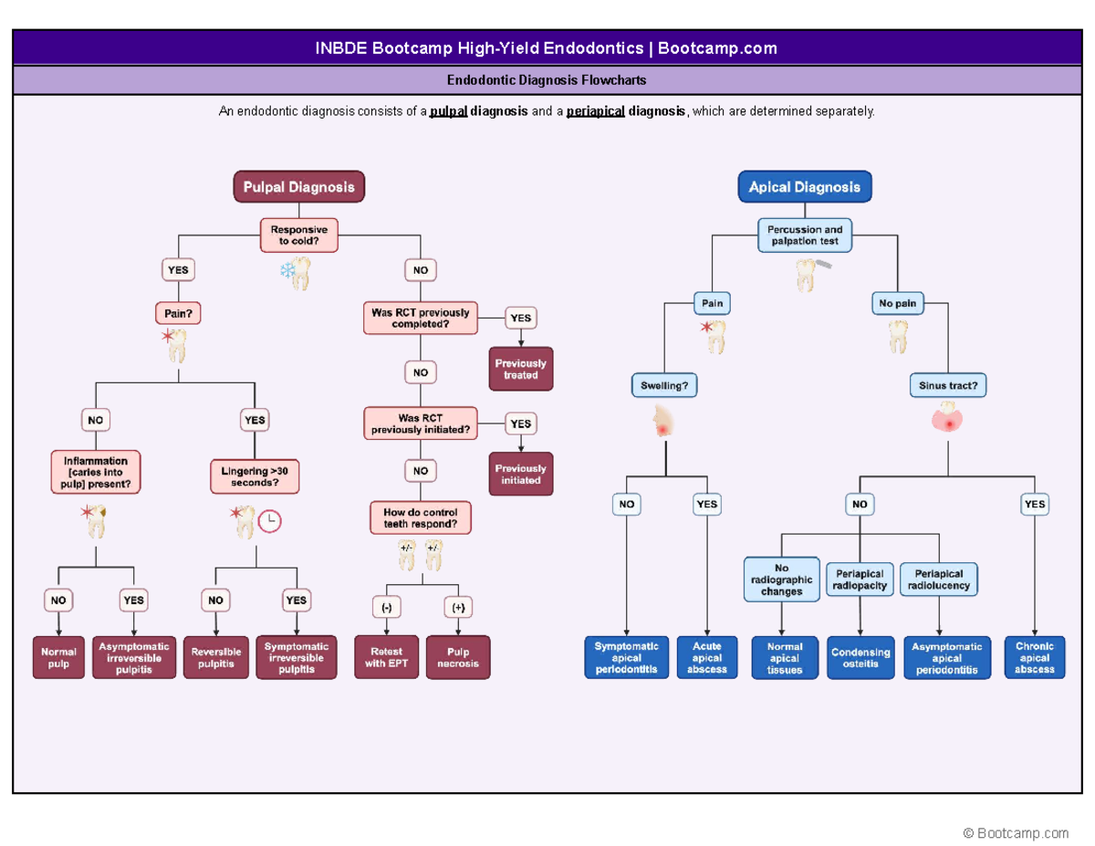 INBDE Endodontics Bootcamp: Comprehensive Diagnosis Flowcharts - Studocu