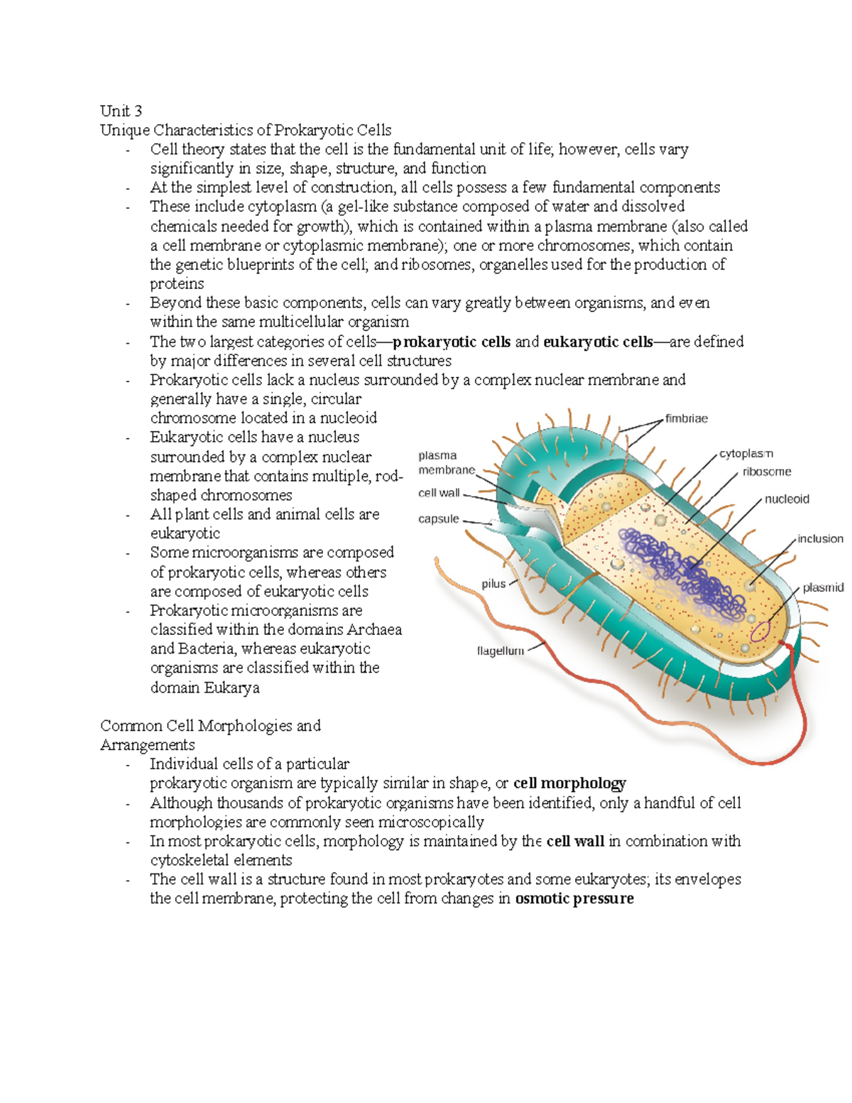 Microbiology 222 Unit 3 Lecture Notes: Prokaryotic Cell Characteristics ...