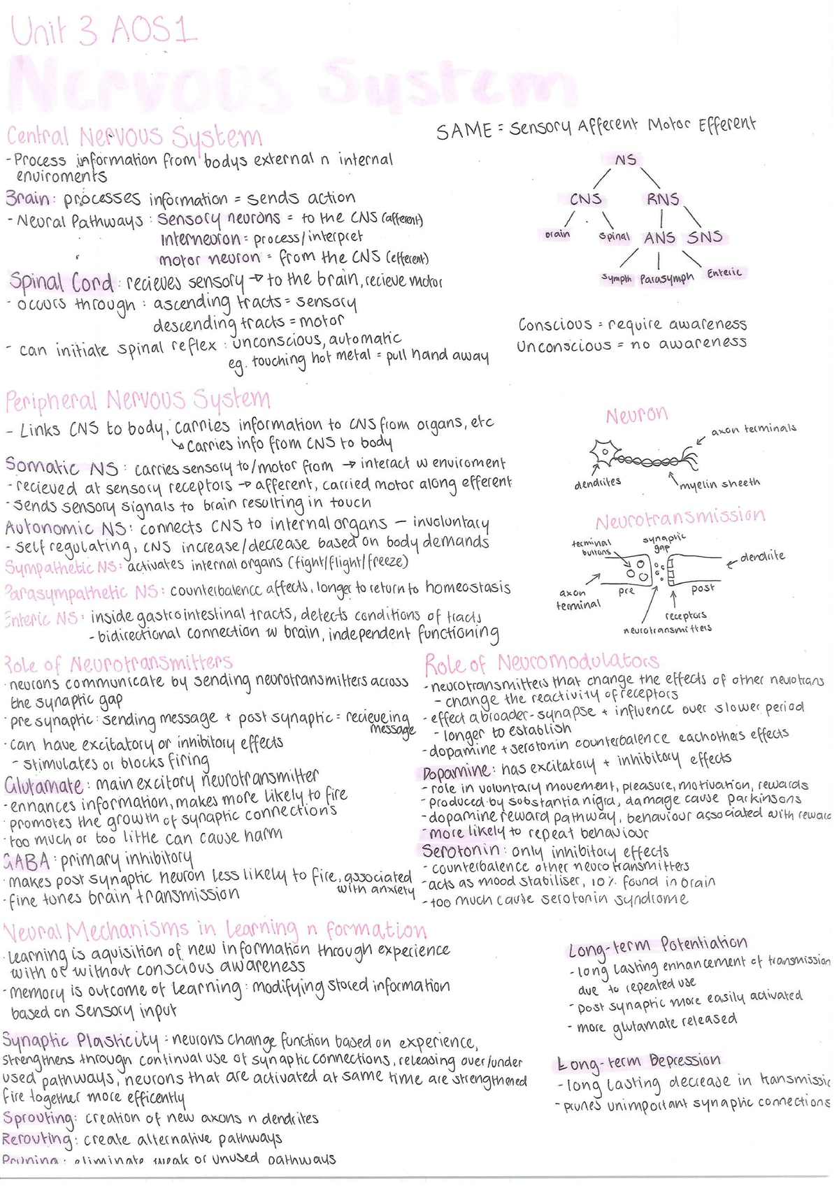 Unit 3 Psychology Posters: Central Nervous System & Stress Overview ...