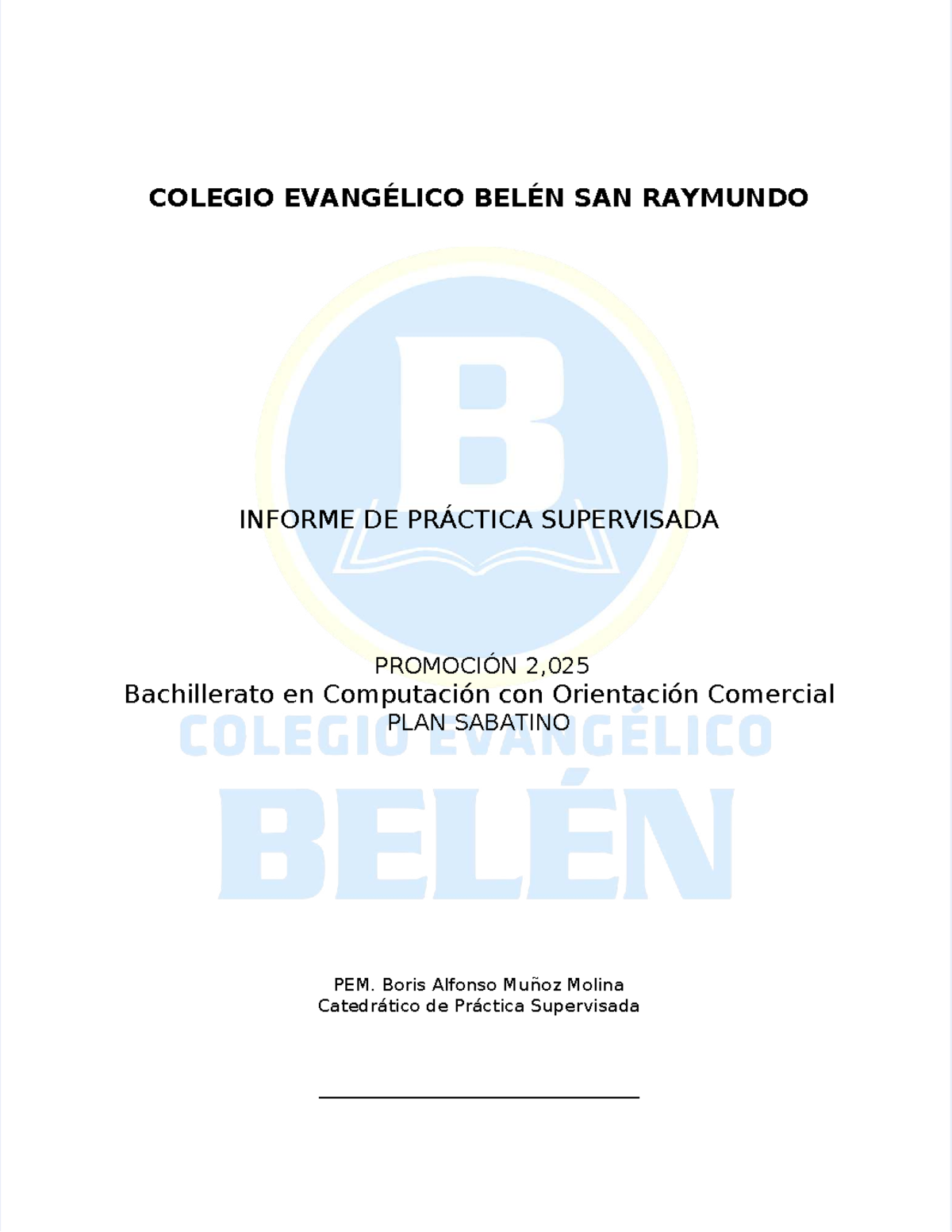 Informe de Práctica Supervisada 2025 - Bachillerato en Computación - Document Preview