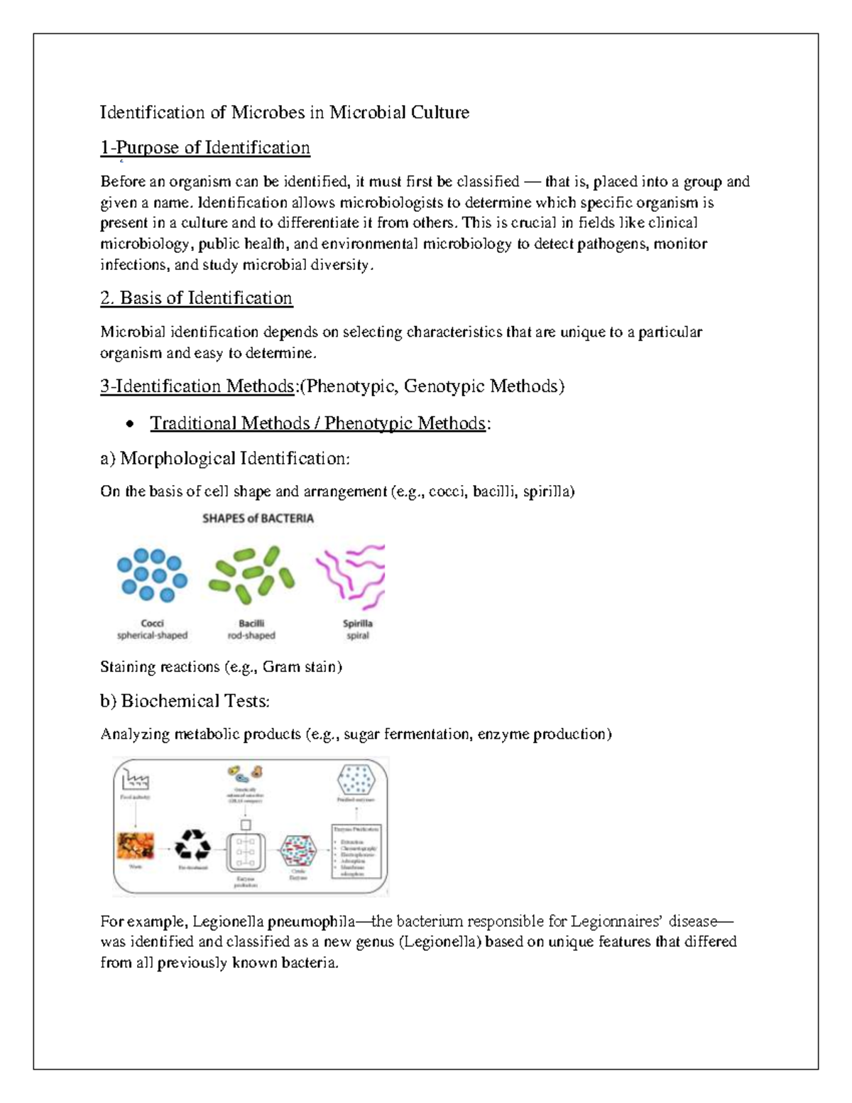 Microbiology Assignment: Identification Methods of Microbial Cultures ...