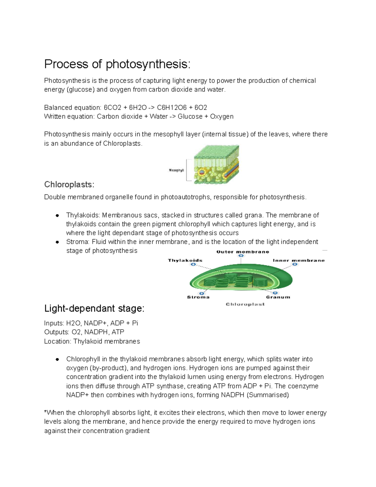 Photosynthesis Process Overview: Mechanisms and Factors Affecting ...