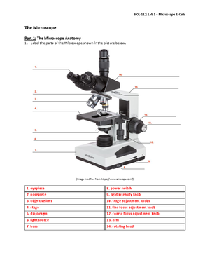 BIOL-112 Lab 2 Activity Worksheet Diversity of Life - Part 1: Taxonomy ...