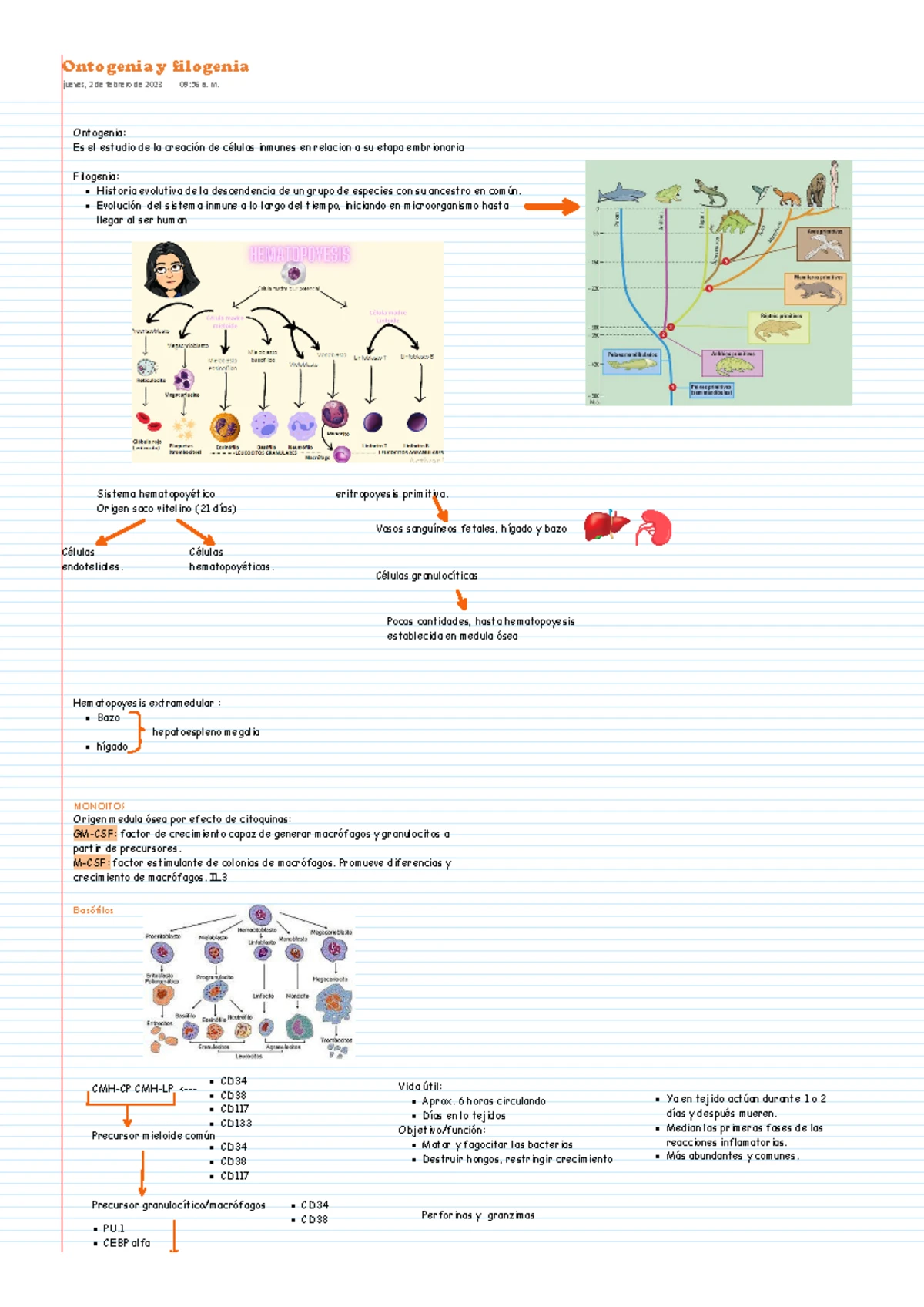 3. Reconocimiento de Antígenos: Fundamentos y Tipos de Inmunógenos ...