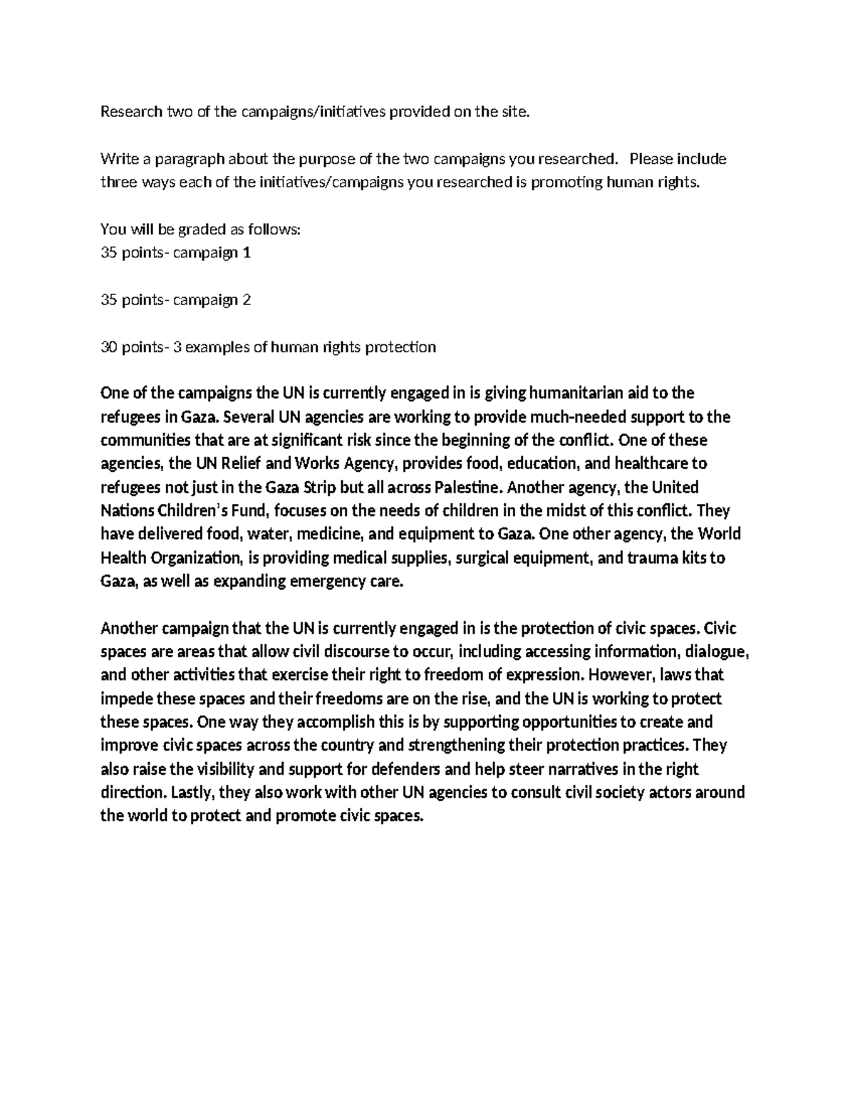 Module Two Lesson Five Activity: Analyzing UN Campaigns for Human ...