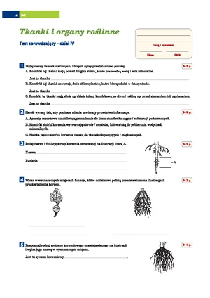 Tkanki i organy roślinne TEST klasa 5 - TEST Z DZIAŁU TKANKI I ORGANY ...