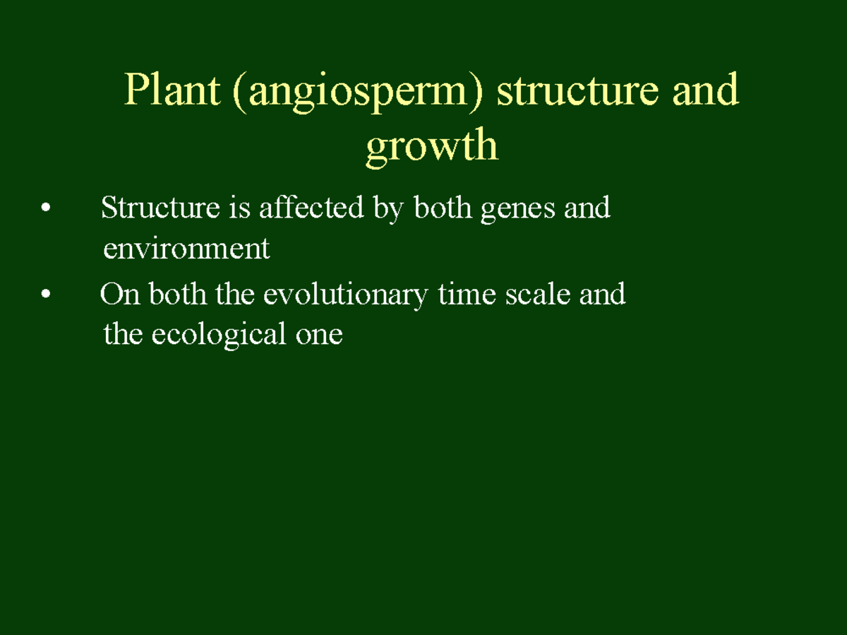 Plant Structure and Growth: Understanding Angiosperm Development (BIO ...