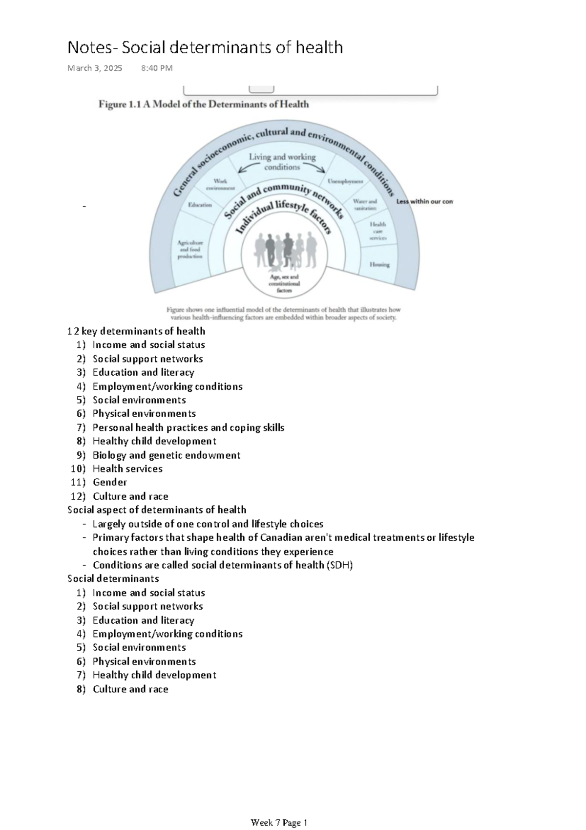 Notes- Social determinants of health - 12 key determinants of health ...